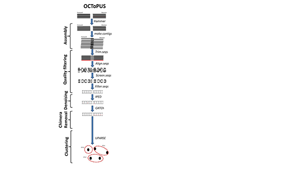 SCK CEN bioinformatics tool OCToPUS