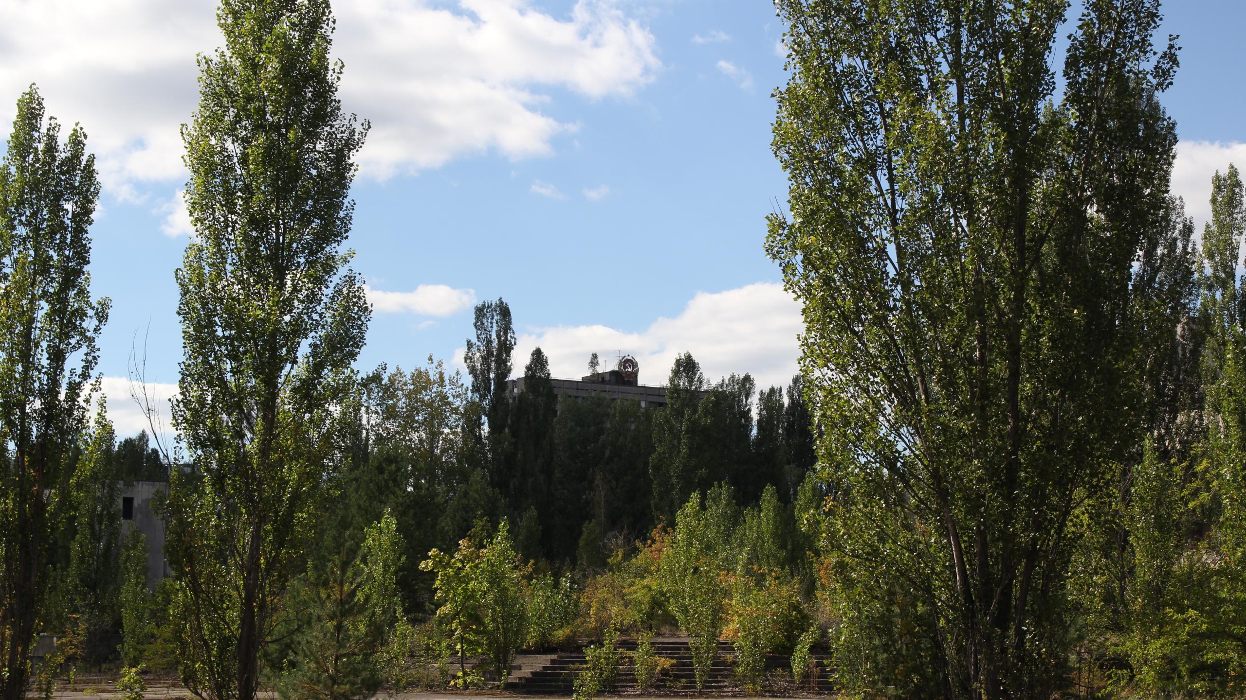 Tsjernobyl omgeving