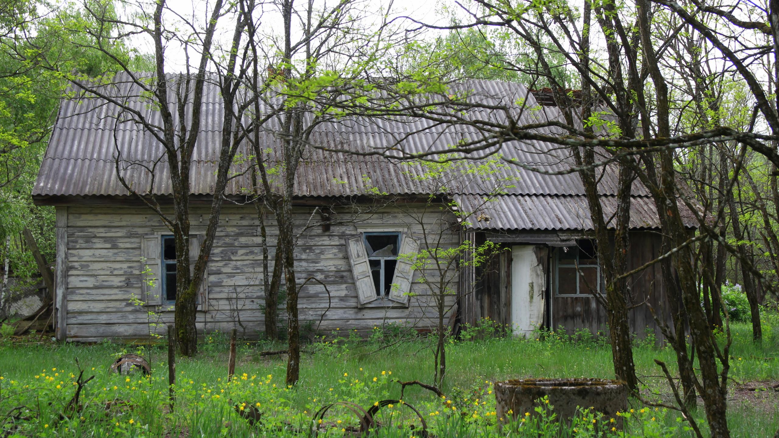 Tsjernobyl boerderij