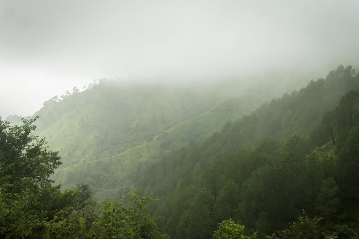 Moessonregen