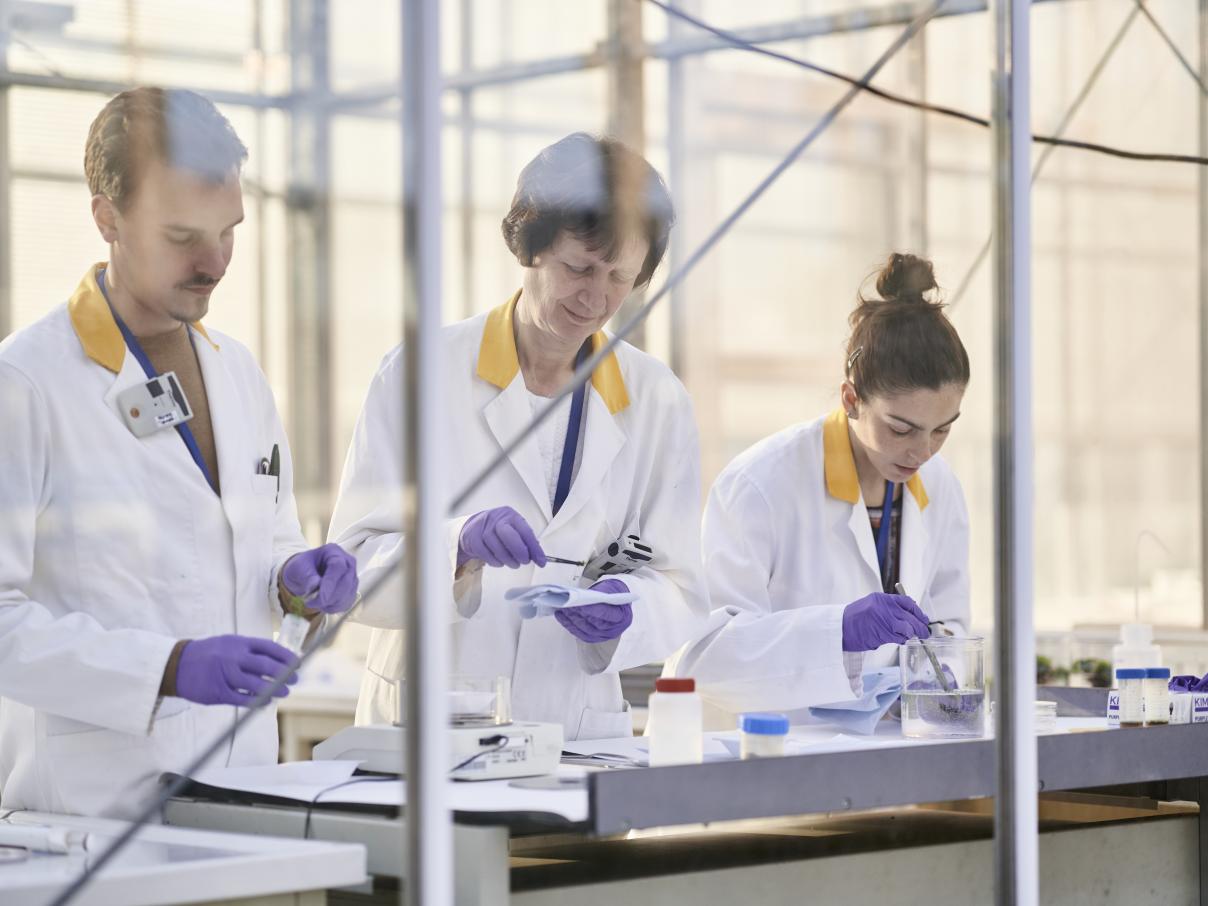 Werken als onderzoekers bij SCK CEN (2019)