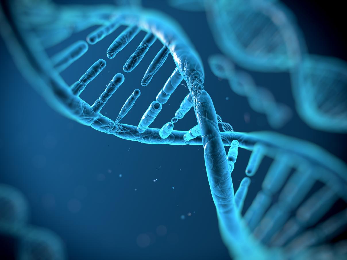 2019_SCK CEN DNA