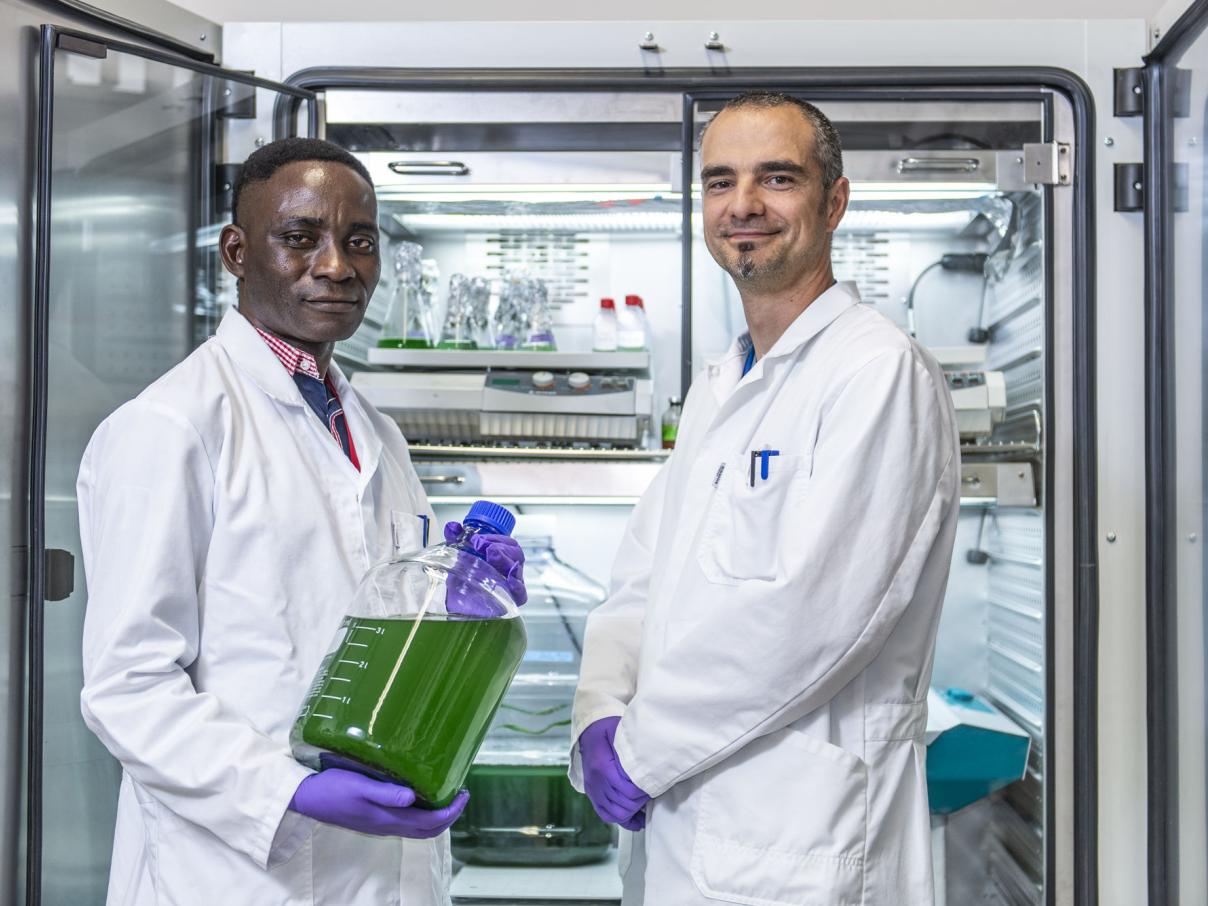 INSPIRATION Denis Bwabwa & Felice Mastroleo (2019)