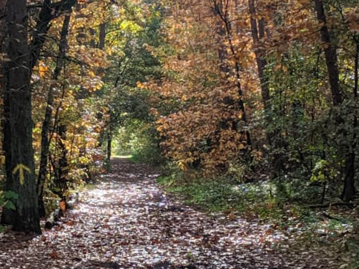 2021 Natuur wandeling SCK CEN Mol
