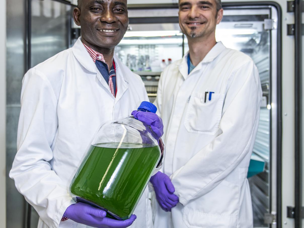 2019 SCK CEN spirulina INSPIRATION