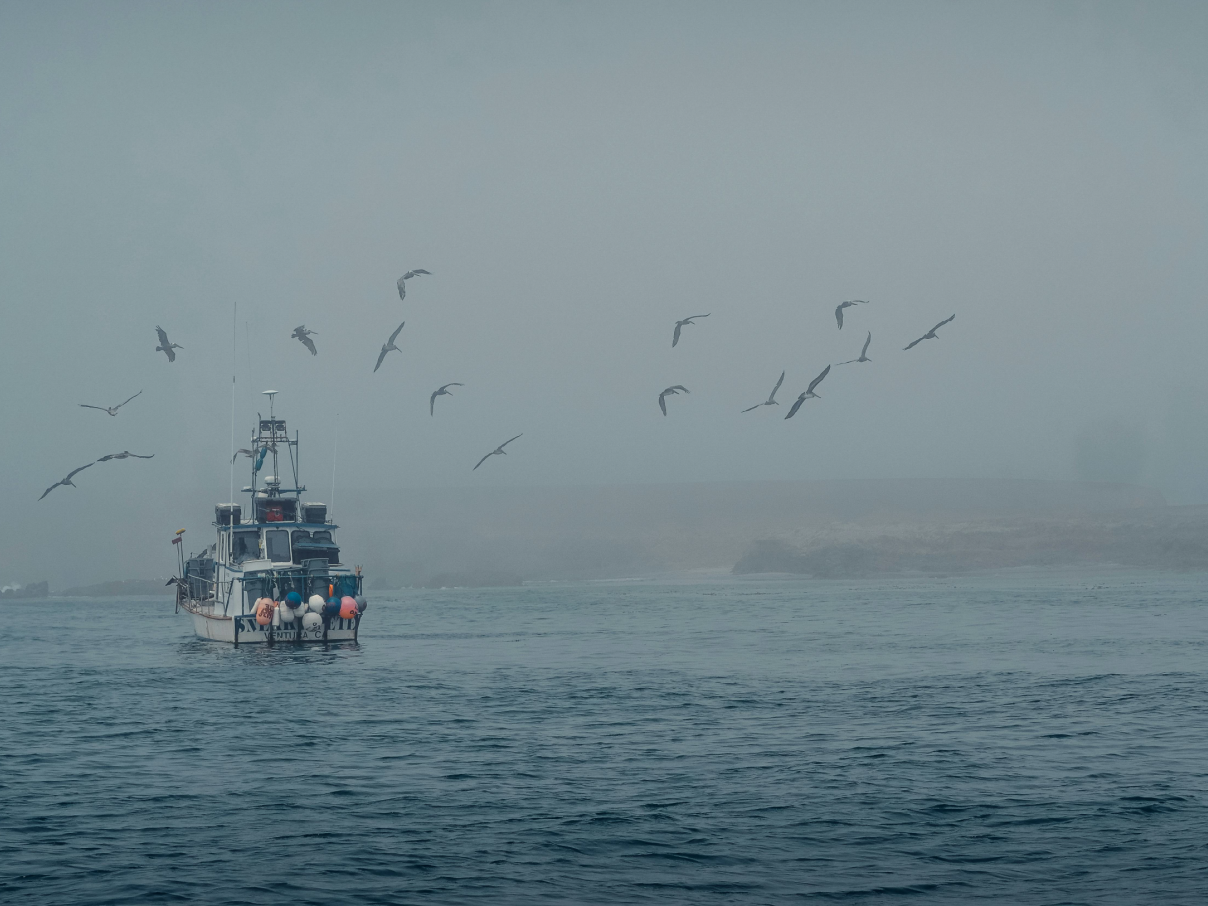 Fishing boat at northern sea