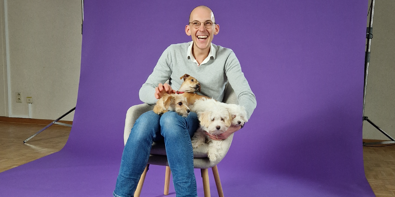Bjorn in stoel met 4 puppy's op schoot voor paarse achtergrond
