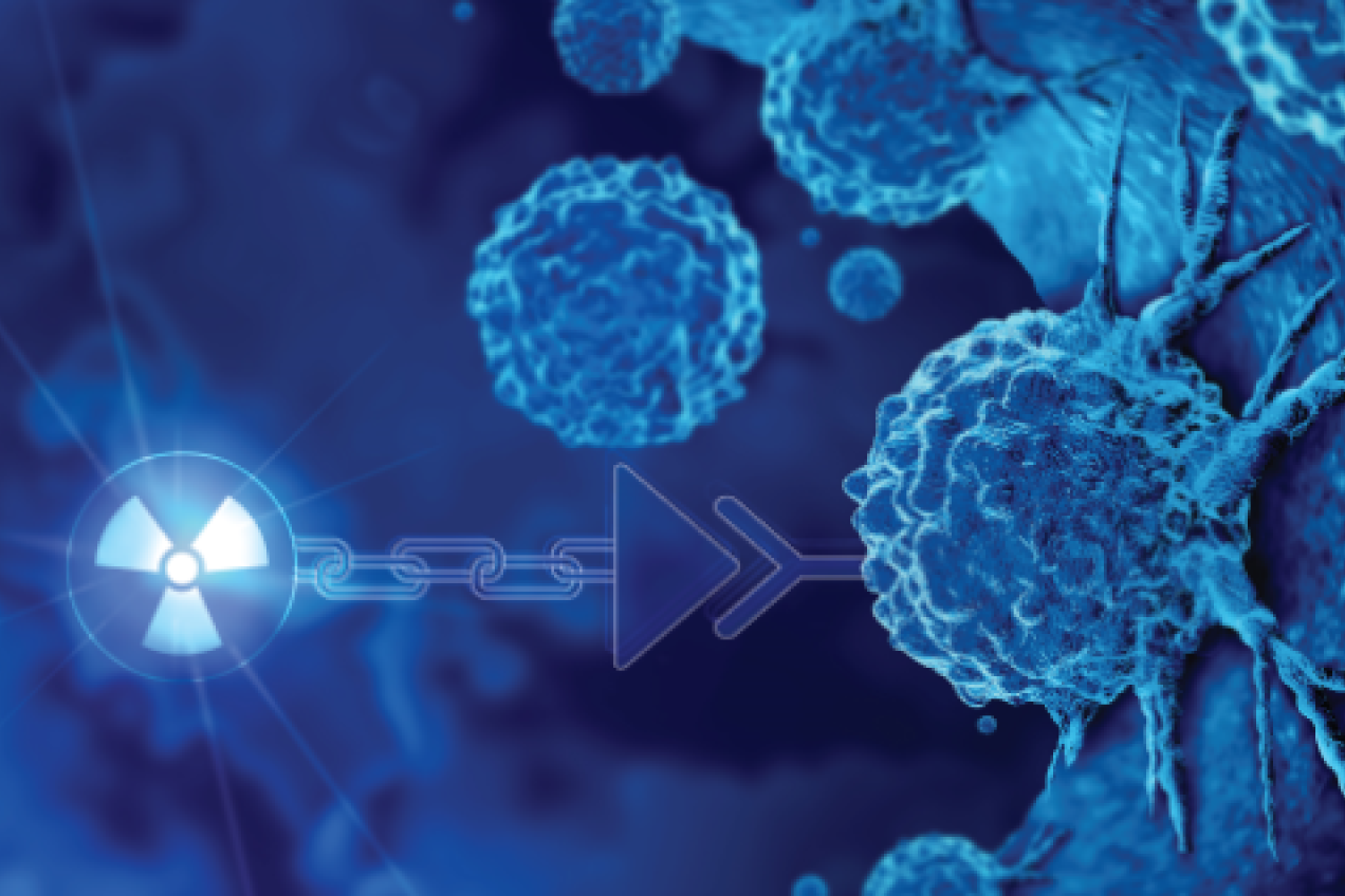 SCK CEN - Nuclear medicine - Radioligand therapy (2024)